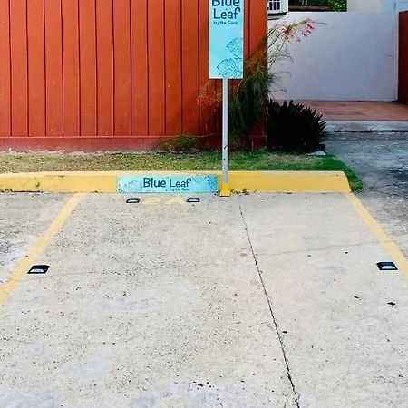 Blue Leaf By The Sea Apartment Luquillo Exterior foto