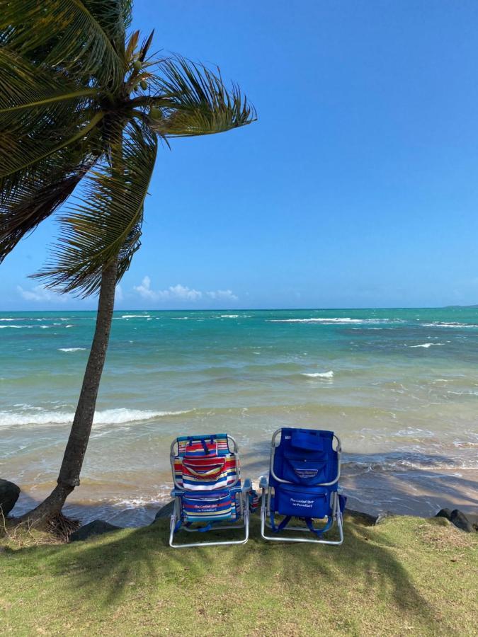 Blue Leaf By The Sea Apartment Luquillo Exterior foto