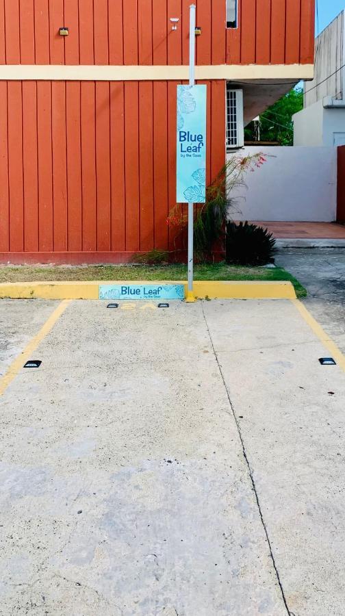 Blue Leaf By The Sea Apartment Luquillo Exterior foto